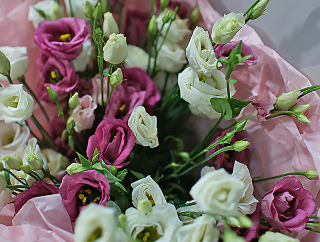 Bouquet of White and Pink Eustomas photo